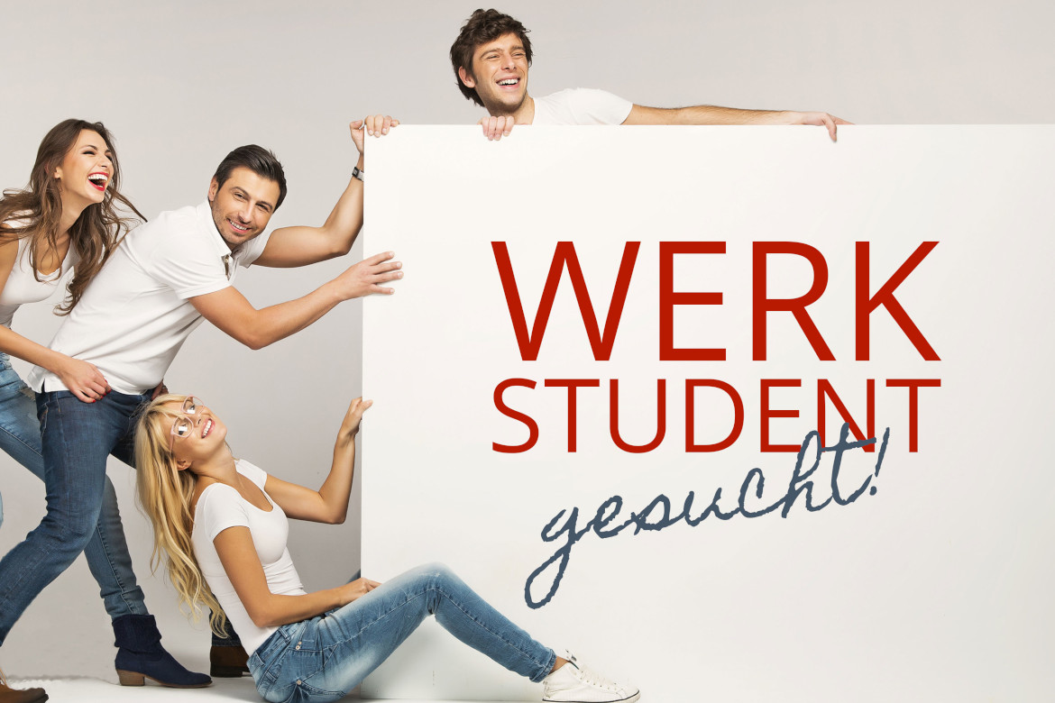 Werkstudent in der IT-Branche gesucht - DELTA BARTH Unternehmensgruppe